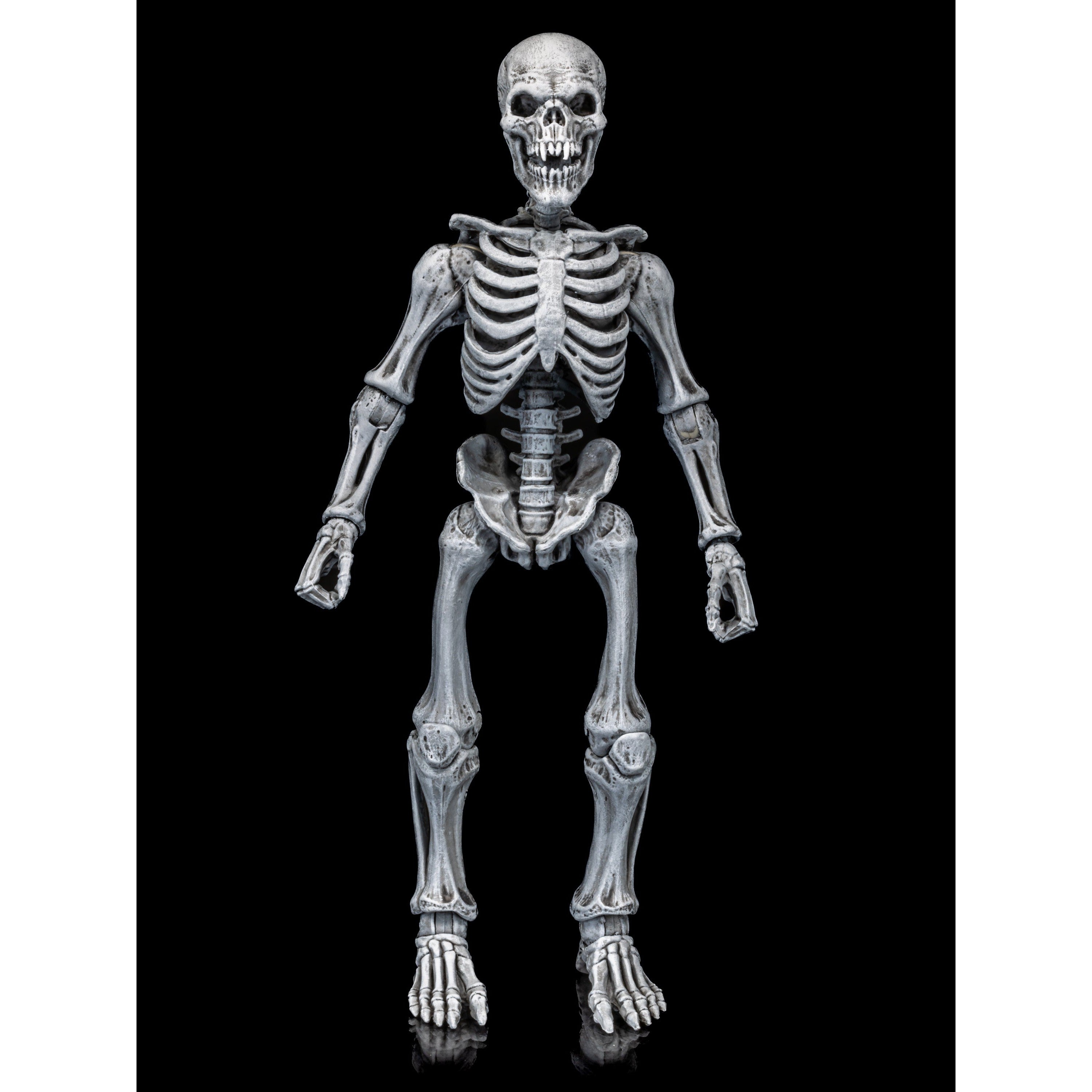 Mythic Legions: Graveyard Skeletons - 4-Pack | Mighty Underground