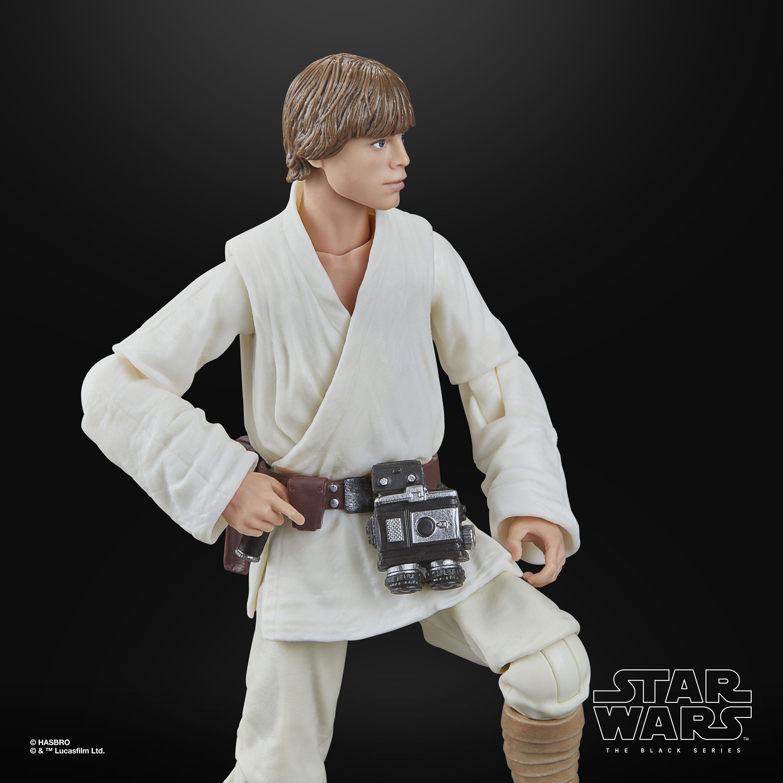 Star Wars Black Series: Luke Skywalker (Ep IV)-Actionfiguren-Hasbro-Mighty Underground