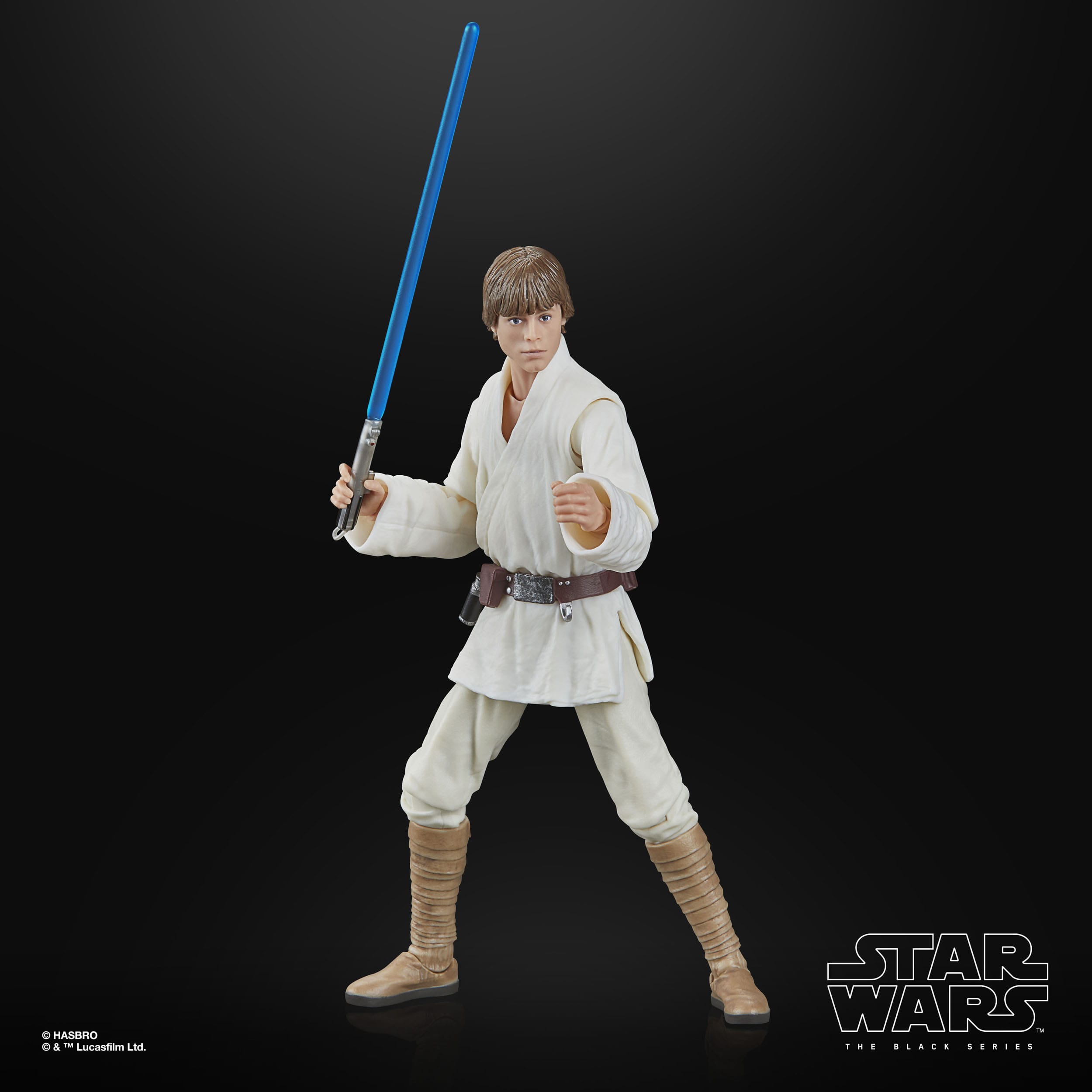 Star Wars Black Series: Luke Skywalker (Ep IV)-Actionfiguren-Hasbro-Mighty Underground