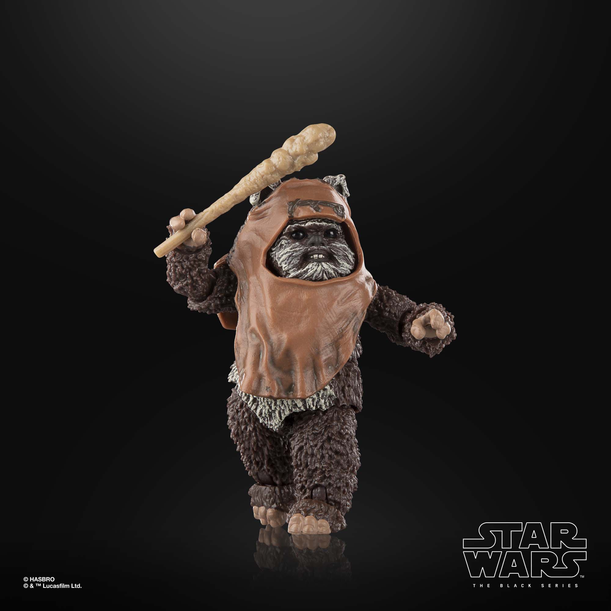 Star Wars Black Series: Wicket (Ep VI)-Actionfiguren-Hasbro-Mighty Underground