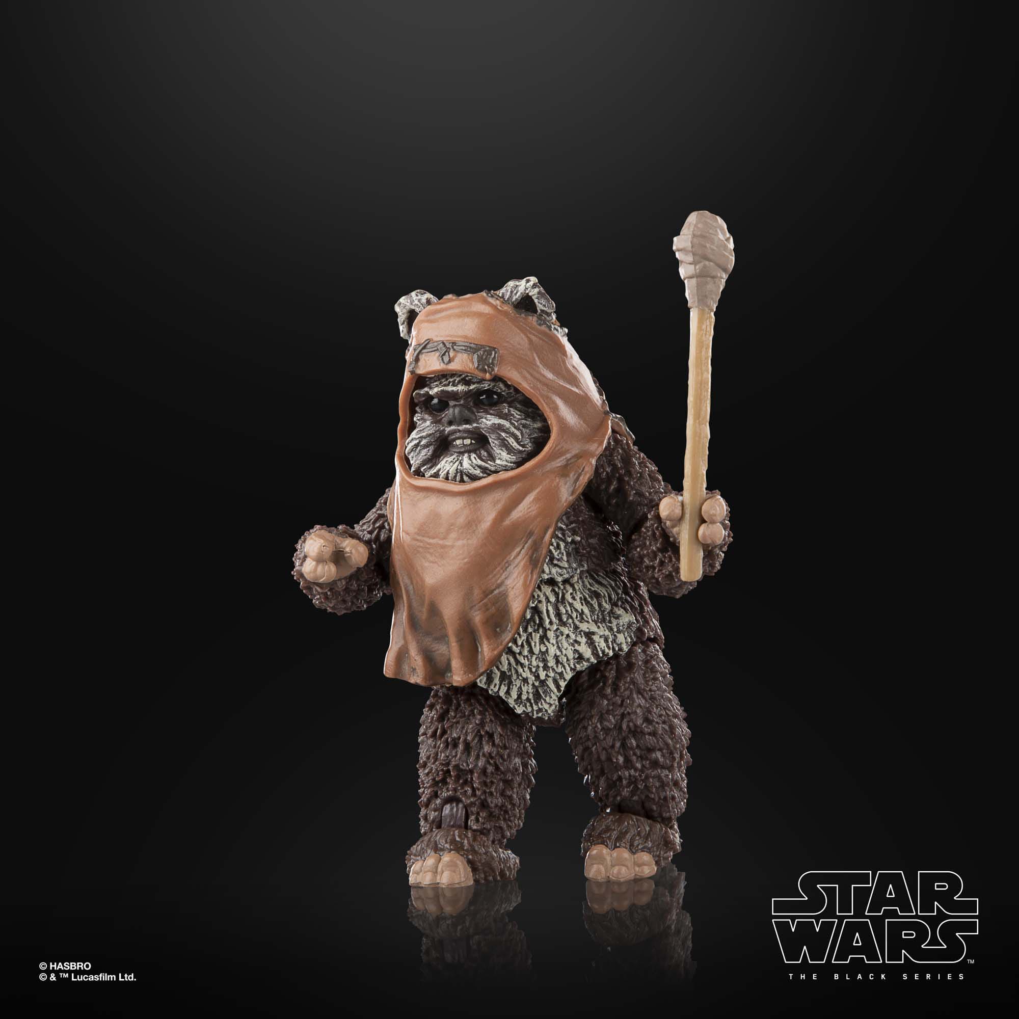 Star Wars Black Series: Wicket (Ep VI)-Actionfiguren-Hasbro-Mighty Underground