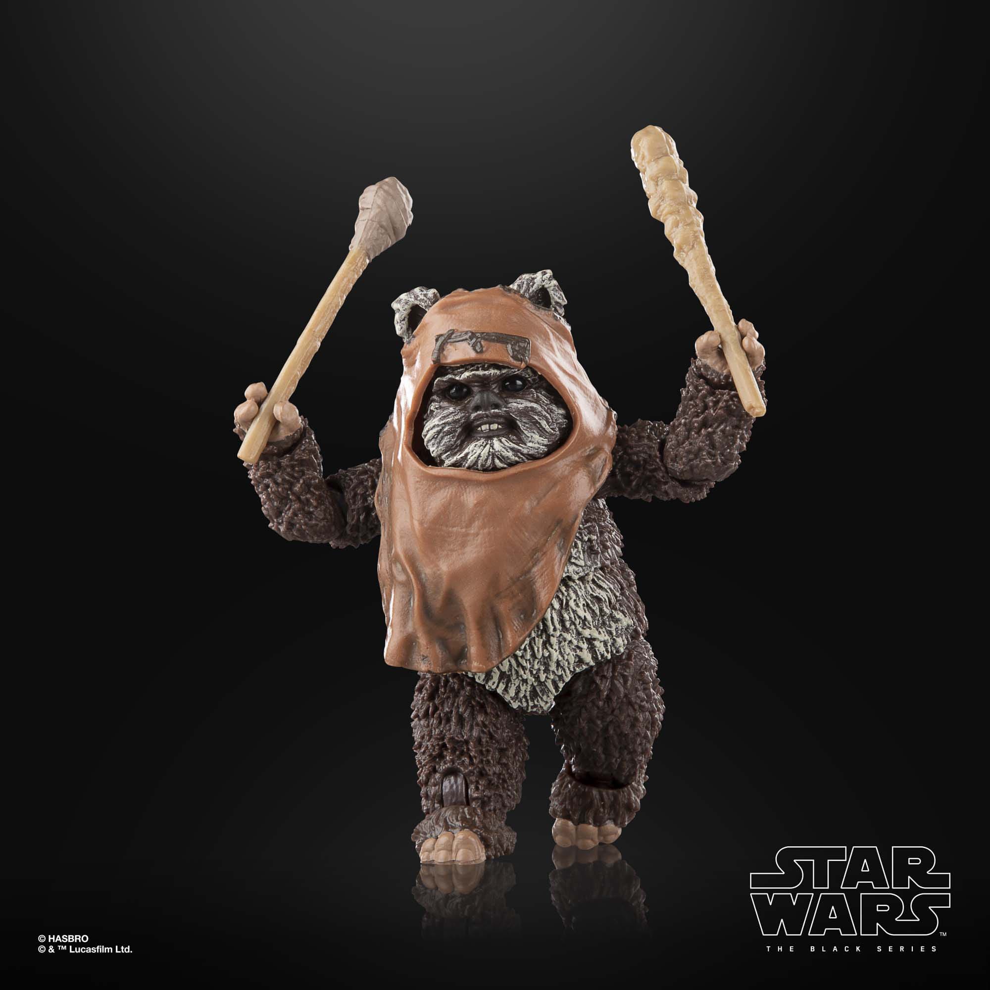 Star Wars Black Series: Wicket (Ep VI)-Actionfiguren-Hasbro-Mighty Underground