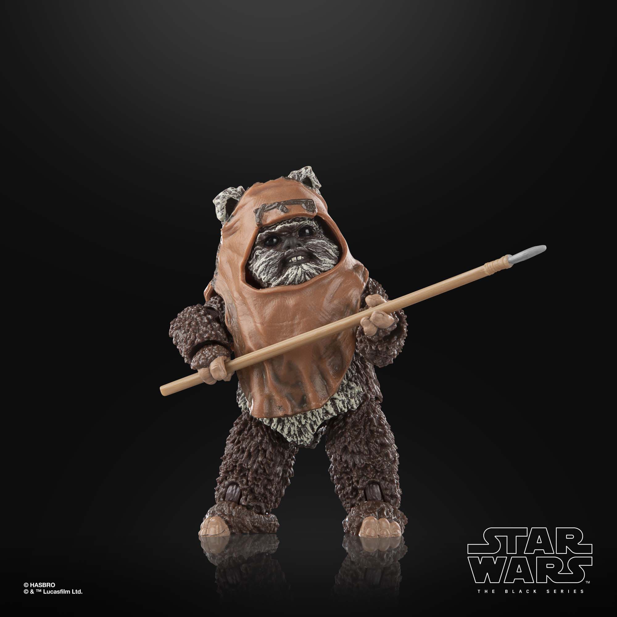 Star Wars Black Series: Wicket (Ep VI)-Actionfiguren-Hasbro-Mighty Underground