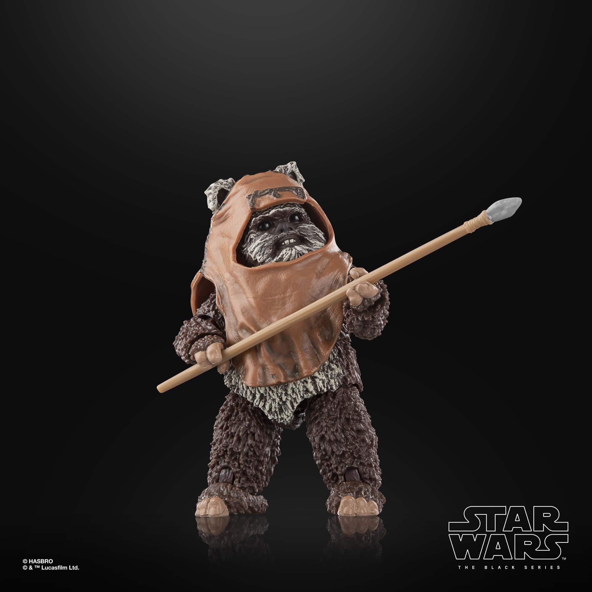 Star Wars Black Series: Wicket (Ep VI)-Actionfiguren-Hasbro-Mighty Underground