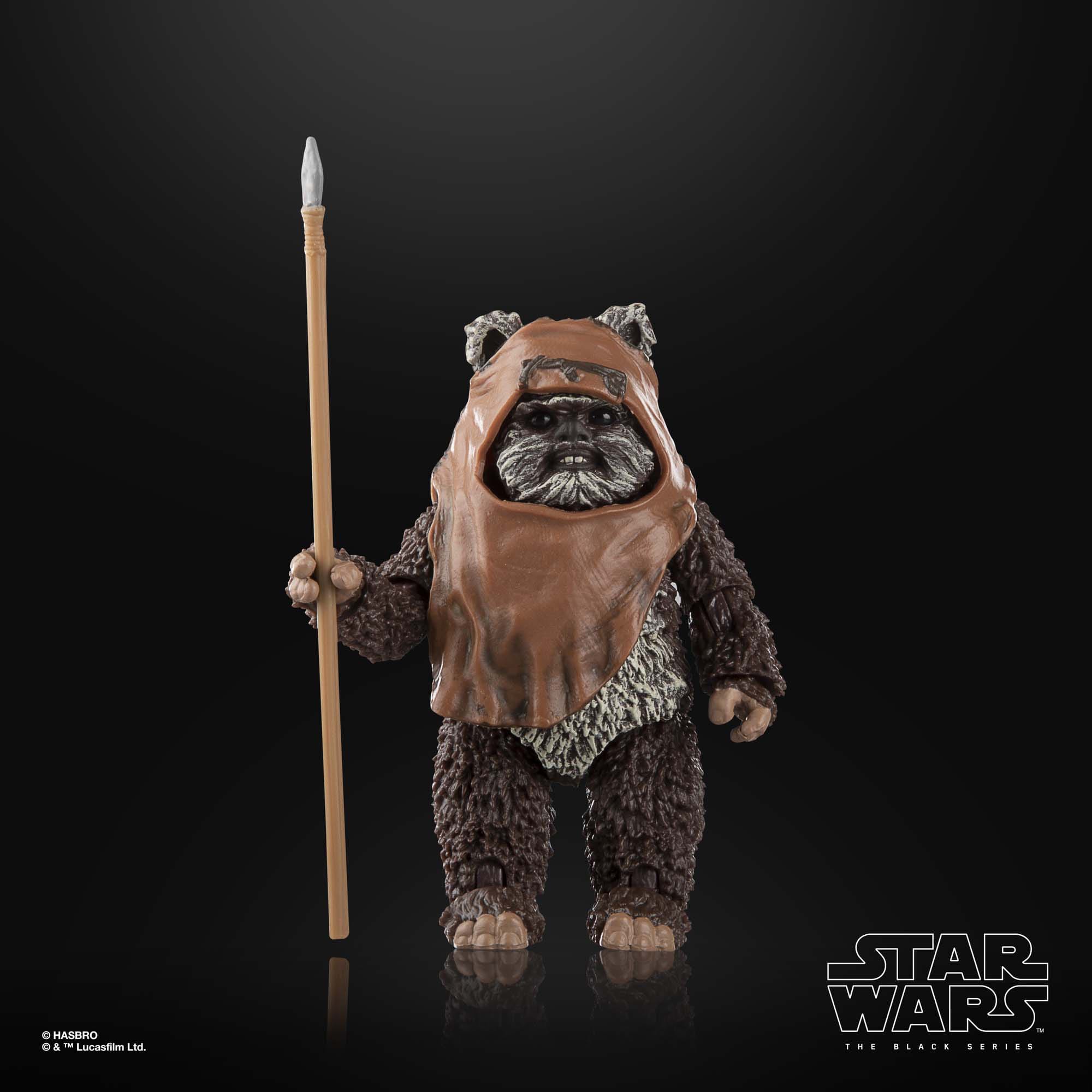 Star Wars Black Series: Wicket (Ep VI)-Actionfiguren-Hasbro-Mighty Underground