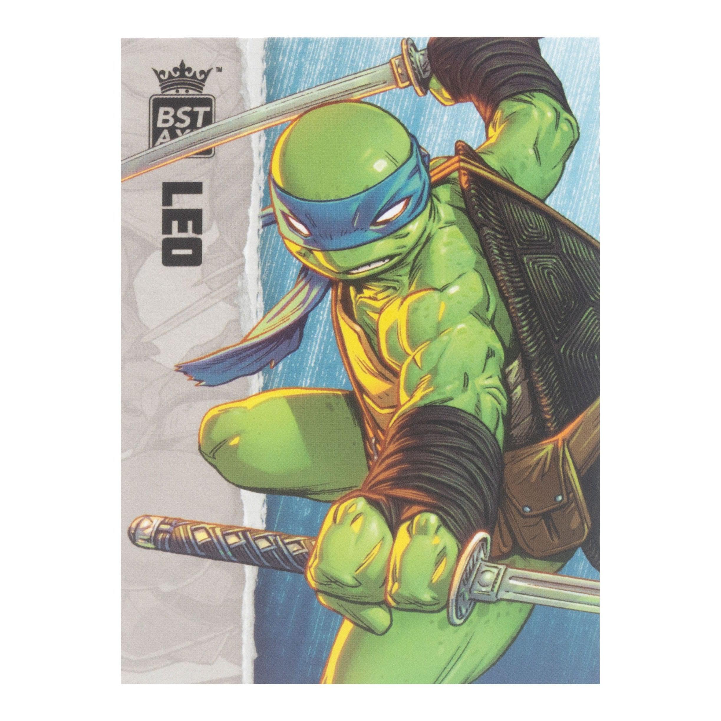 TMNT: Turtles 4-Set (IDW Comics) BST AXN Figures - 5 inch-Actionfiguren-The Loyal Subjects-Mighty Underground