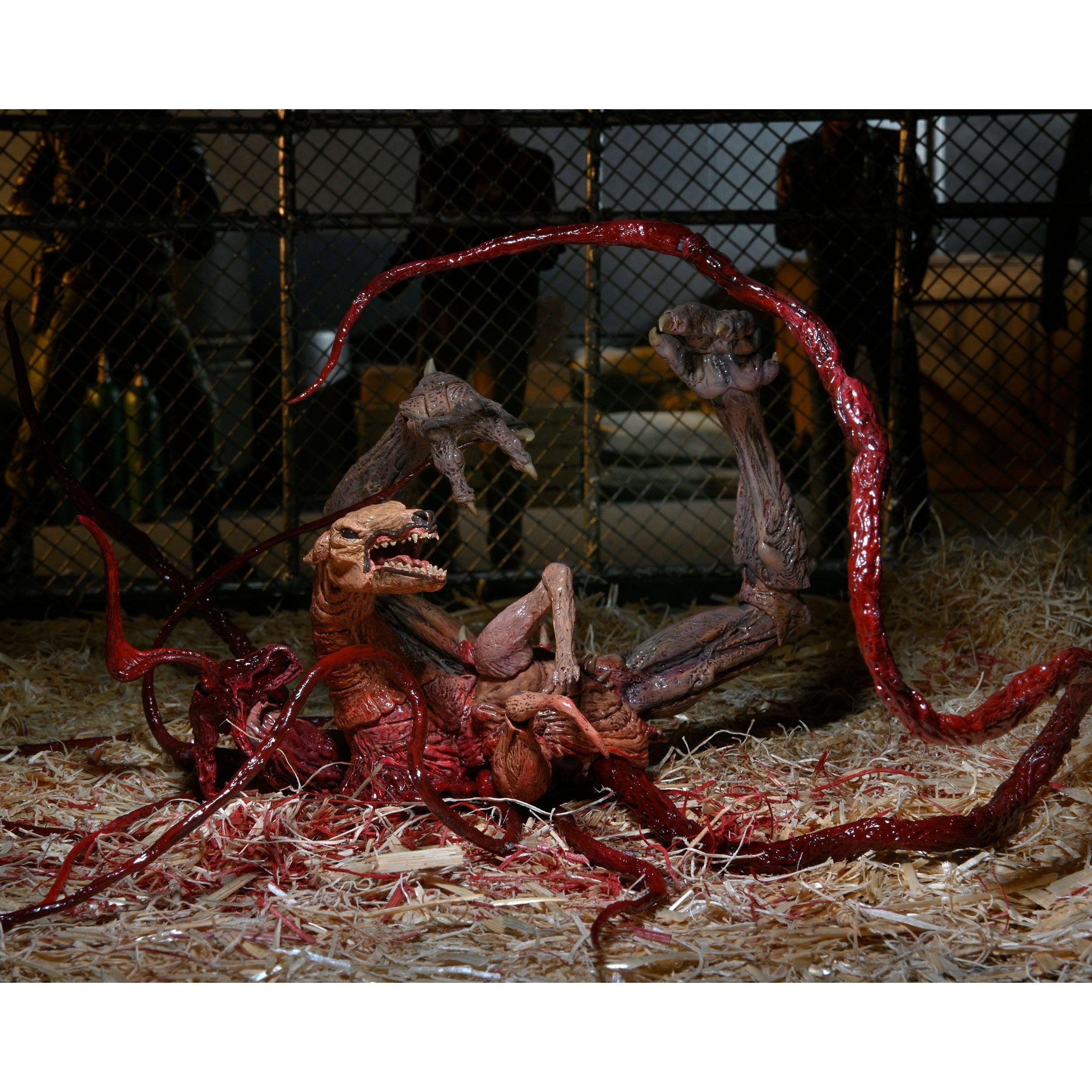 The Thing: Ultimate Deluxe Thing Dog Creature-Actionfiguren-NECA-Mighty Underground