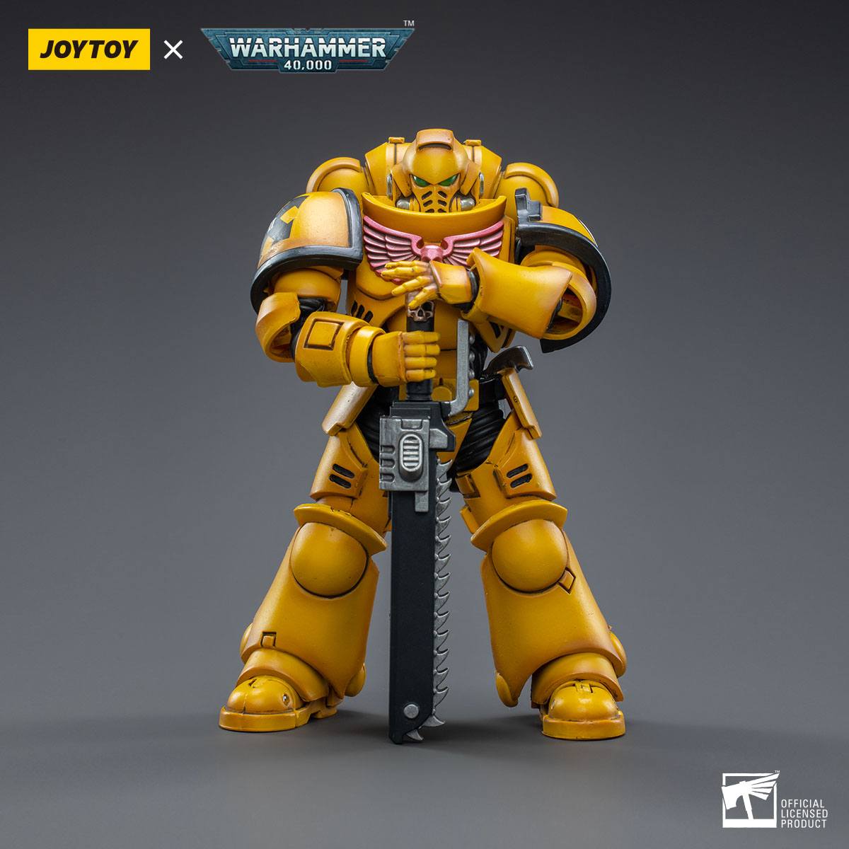 Warhammer 40k: Imperial Fists Intercessors - 12 cm-Actionfiguren-JoyToy-Mighty Underground