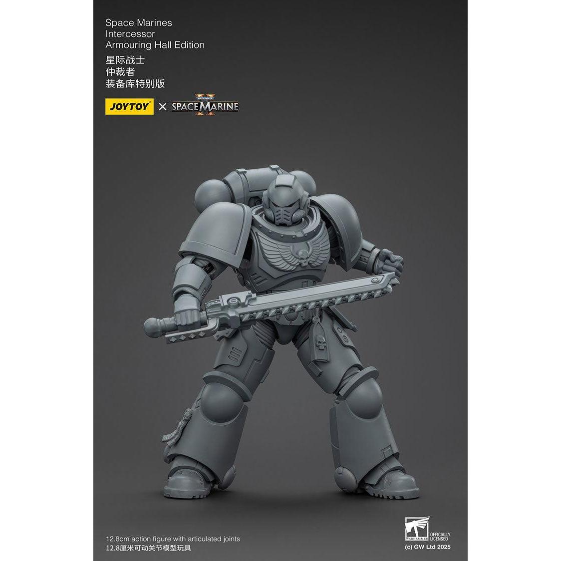 Warhammer 40k: Intercessor (Armouring Hall Edition, Spacemarine 2)-Actionfiguren-JoyToy-Mighty Underground
