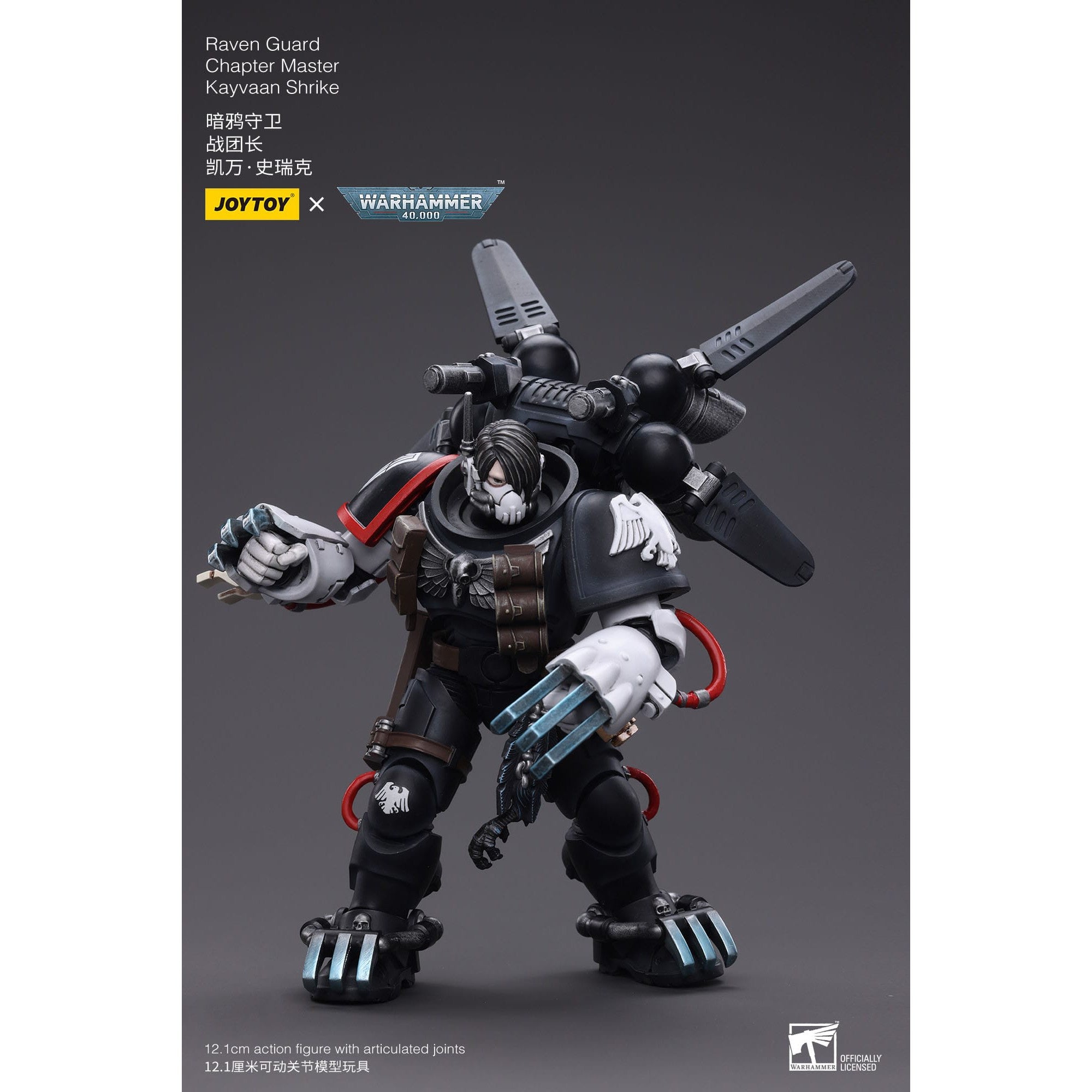 Warhammer 40k: Raven Guard Chapter Master Kayvaan Shrike - 12 cm-Actionfiguren-JoyToy-Mighty Underground