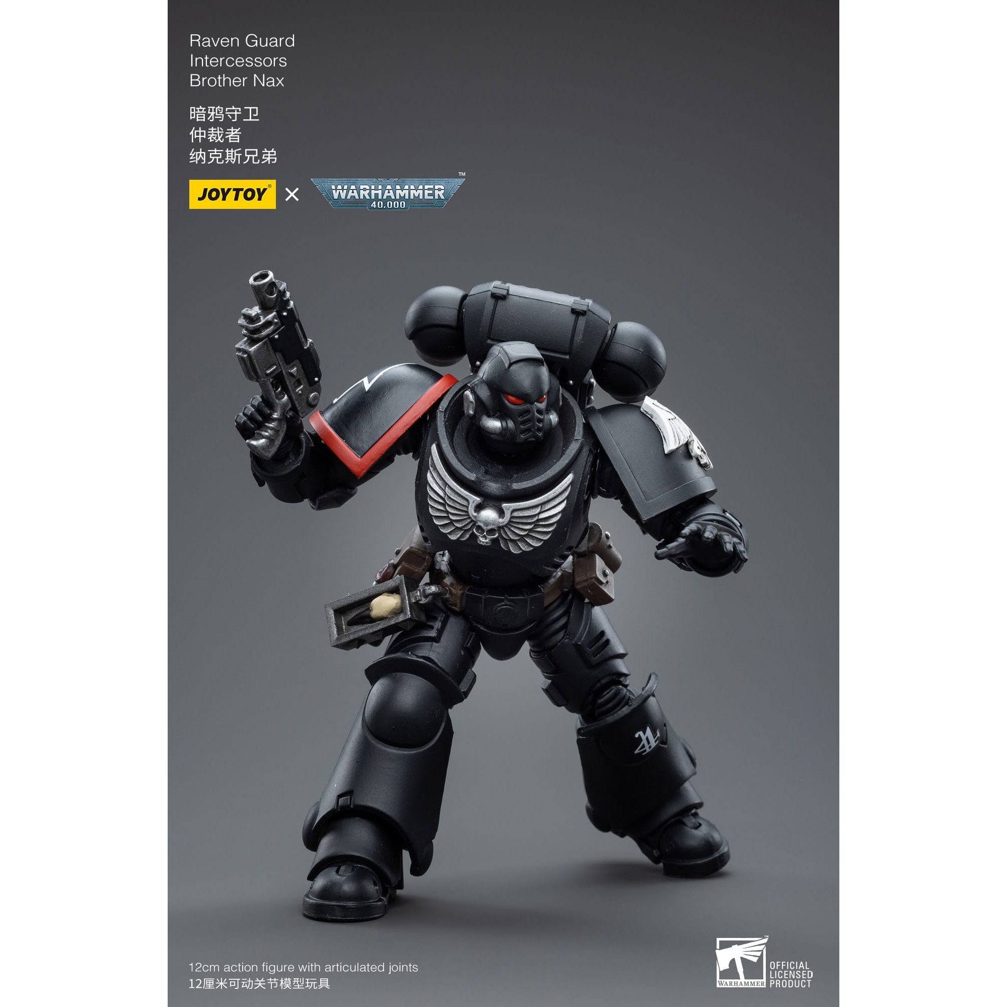 Warhammer 40k: Raven Guard Intercessors Brother Nax - 12 cm-Actionfiguren-JoyToy-Mighty Underground