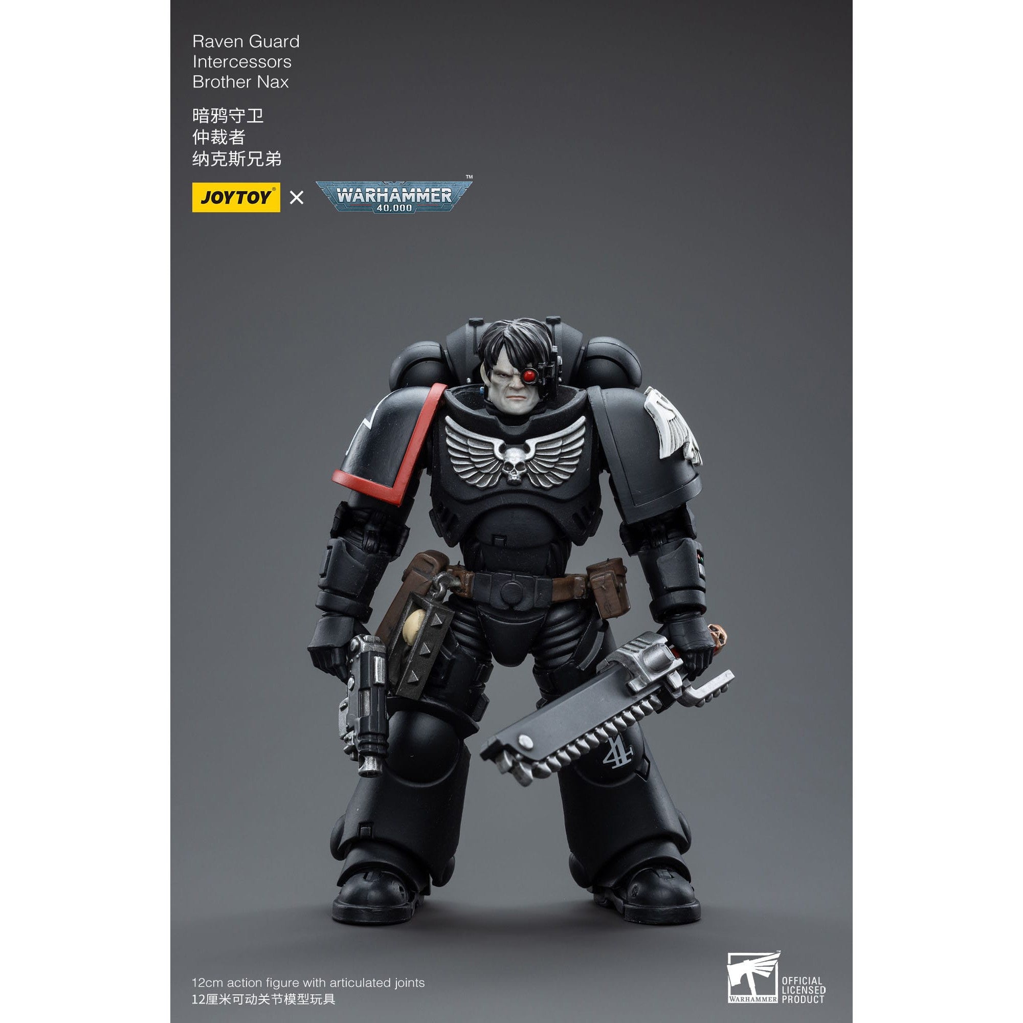 Warhammer 40k: Raven Guard Intercessors Brother Nax - 12 cm-Actionfiguren-JoyToy-Mighty Underground