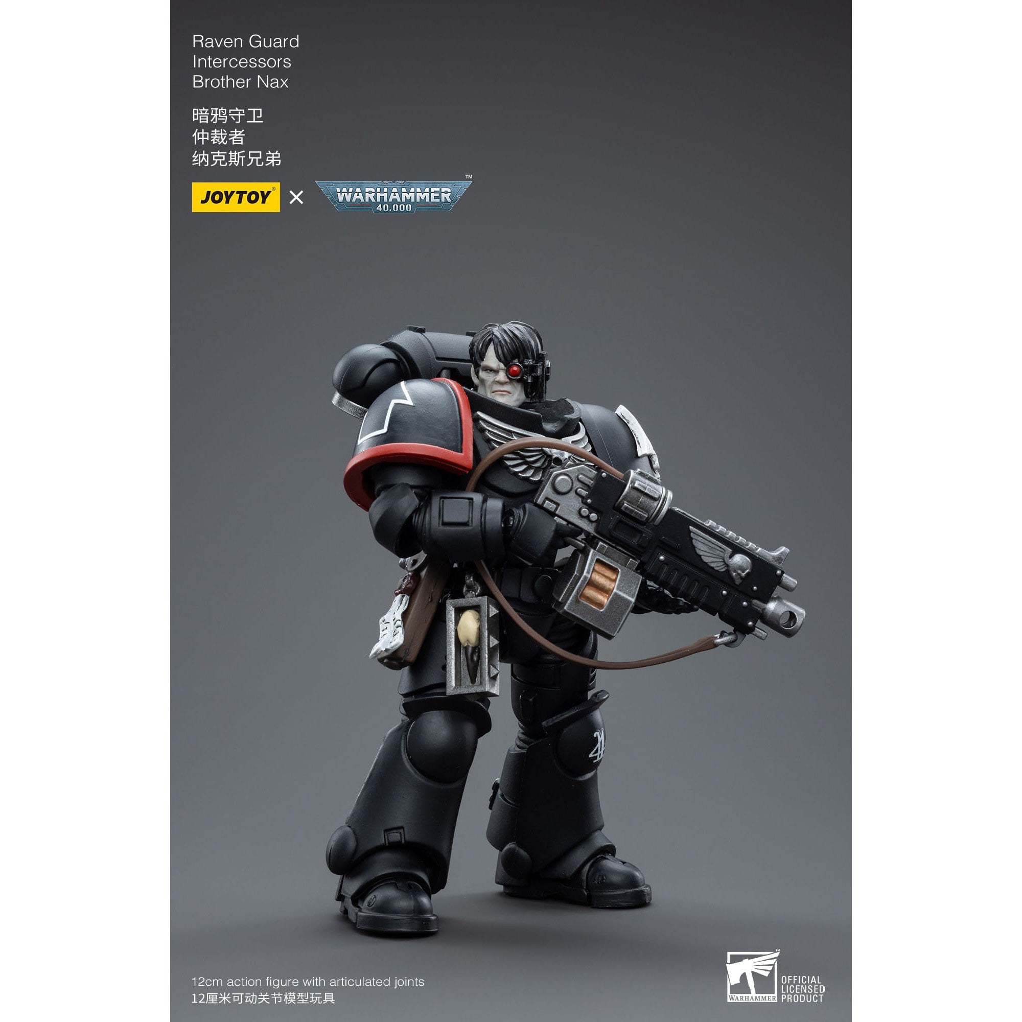 Warhammer 40k: Raven Guard Intercessors Brother Nax - 12 cm-Actionfiguren-JoyToy-Mighty Underground