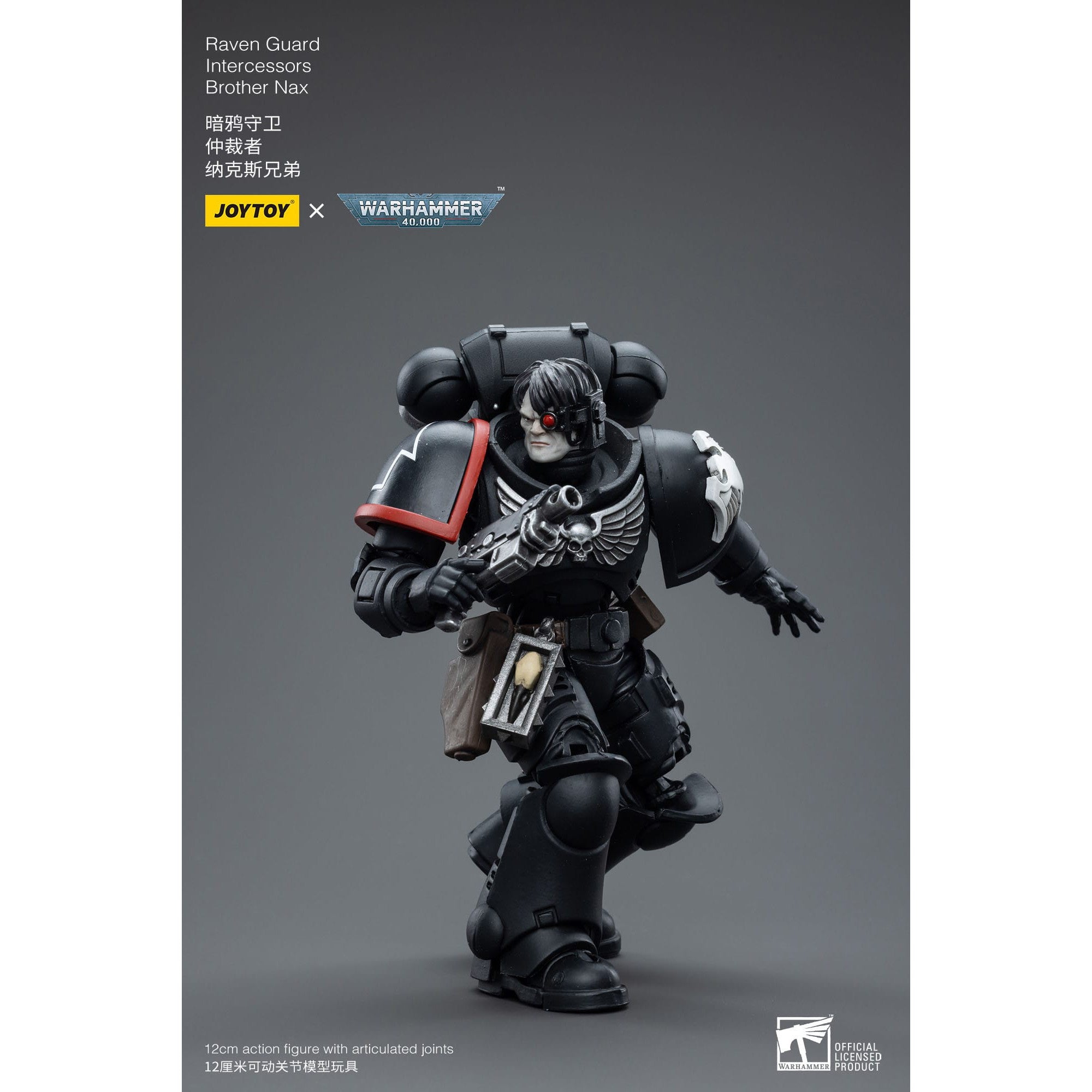 Warhammer 40k: Raven Guard Intercessors Brother Nax - 12 cm-Actionfiguren-JoyToy-Mighty Underground