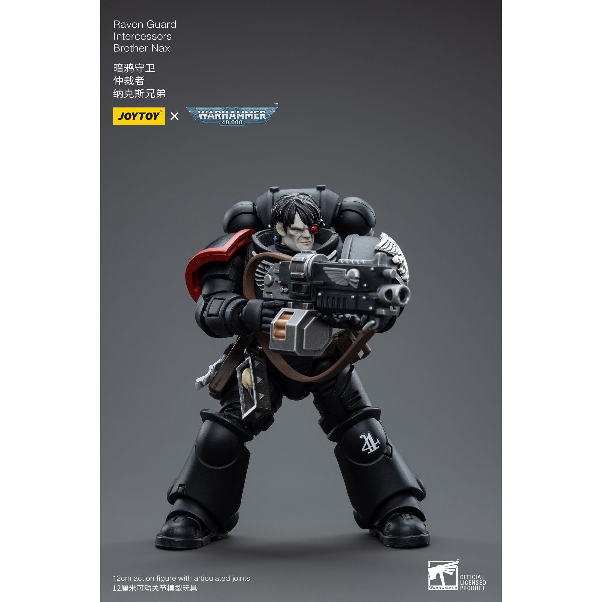 Warhammer 40k: Raven Guard Intercessors Brother Nax - 12 cm-Actionfiguren-JoyToy-Mighty Underground