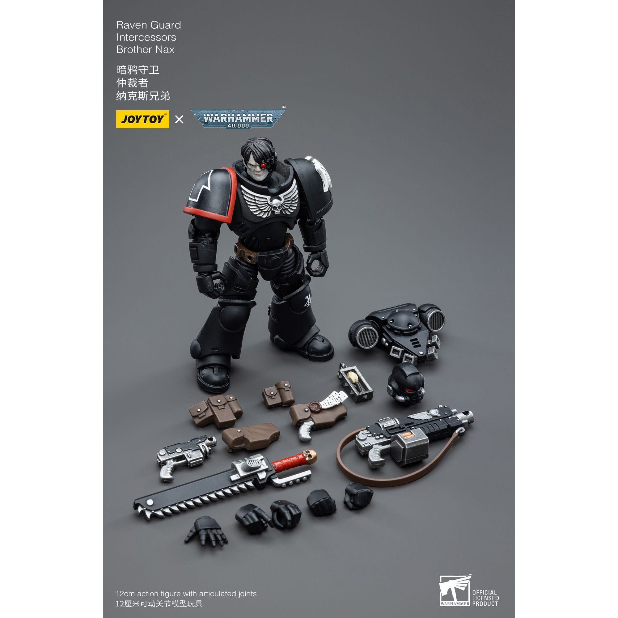 Warhammer 40k: Raven Guard Intercessors Brother Nax - 12 cm-Actionfiguren-JoyToy-Mighty Underground