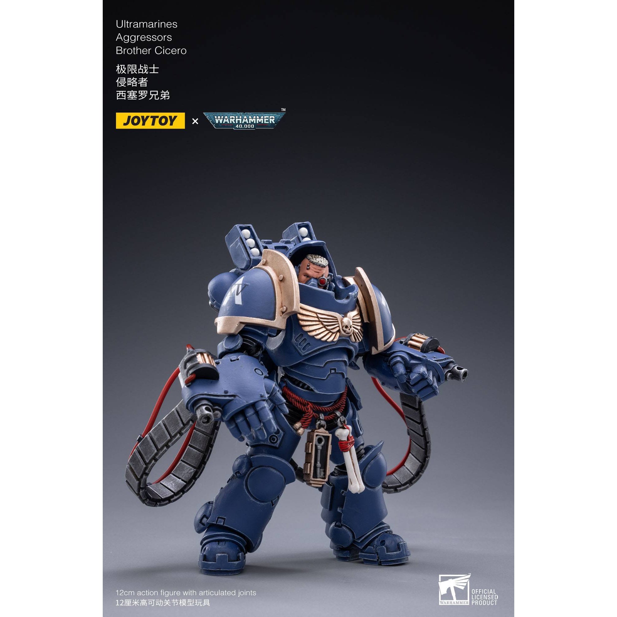 Warhammer 40k: Ultramarines Aggressors 3-Pack - 12 cm-Actionfiguren-JoyToy-Mighty Underground