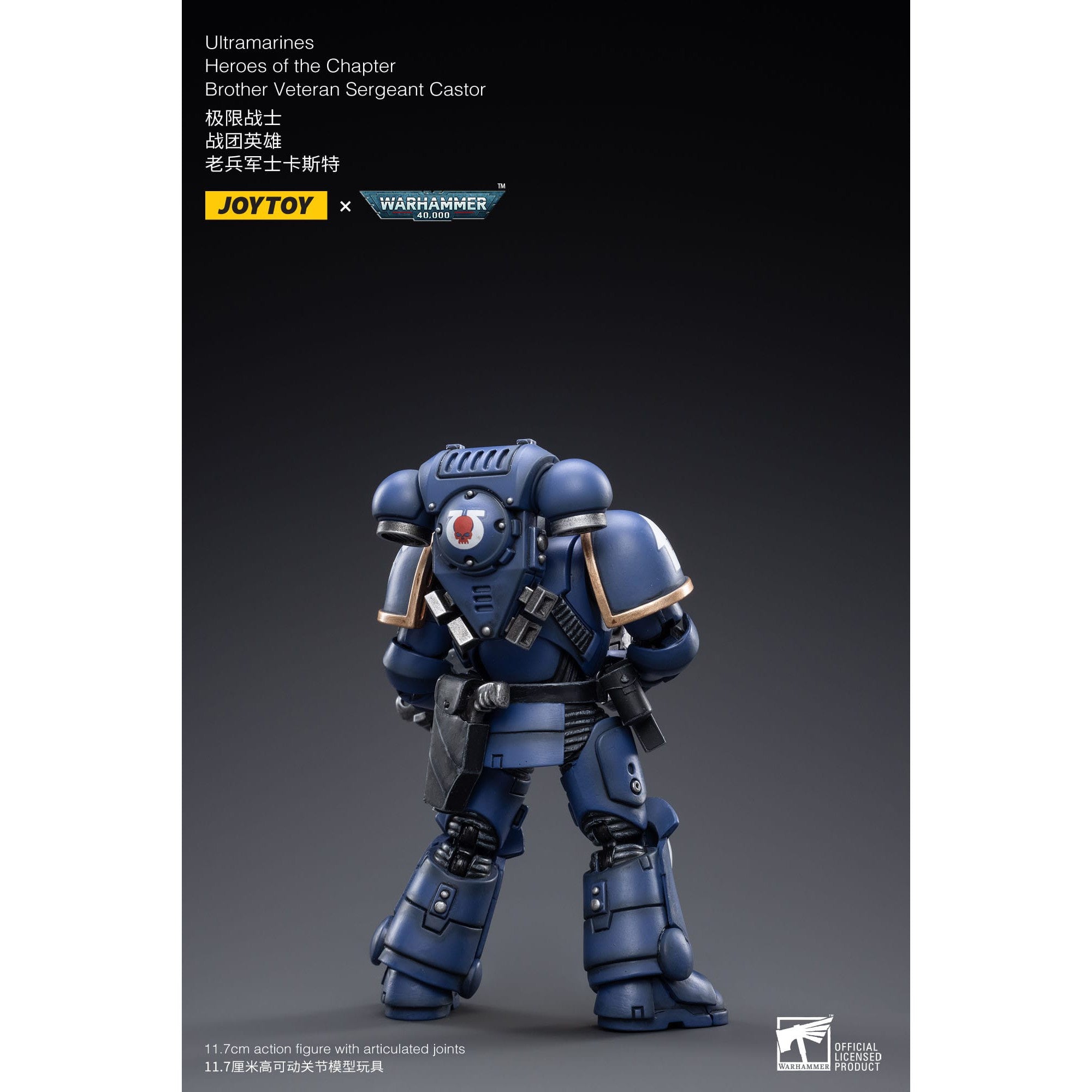 Warhammer 40k: Ultramarines Heroes of the Chapter Brother Veteran Sergeant Castor - 12 cm-Actionfiguren-JoyToy-Mighty Underground