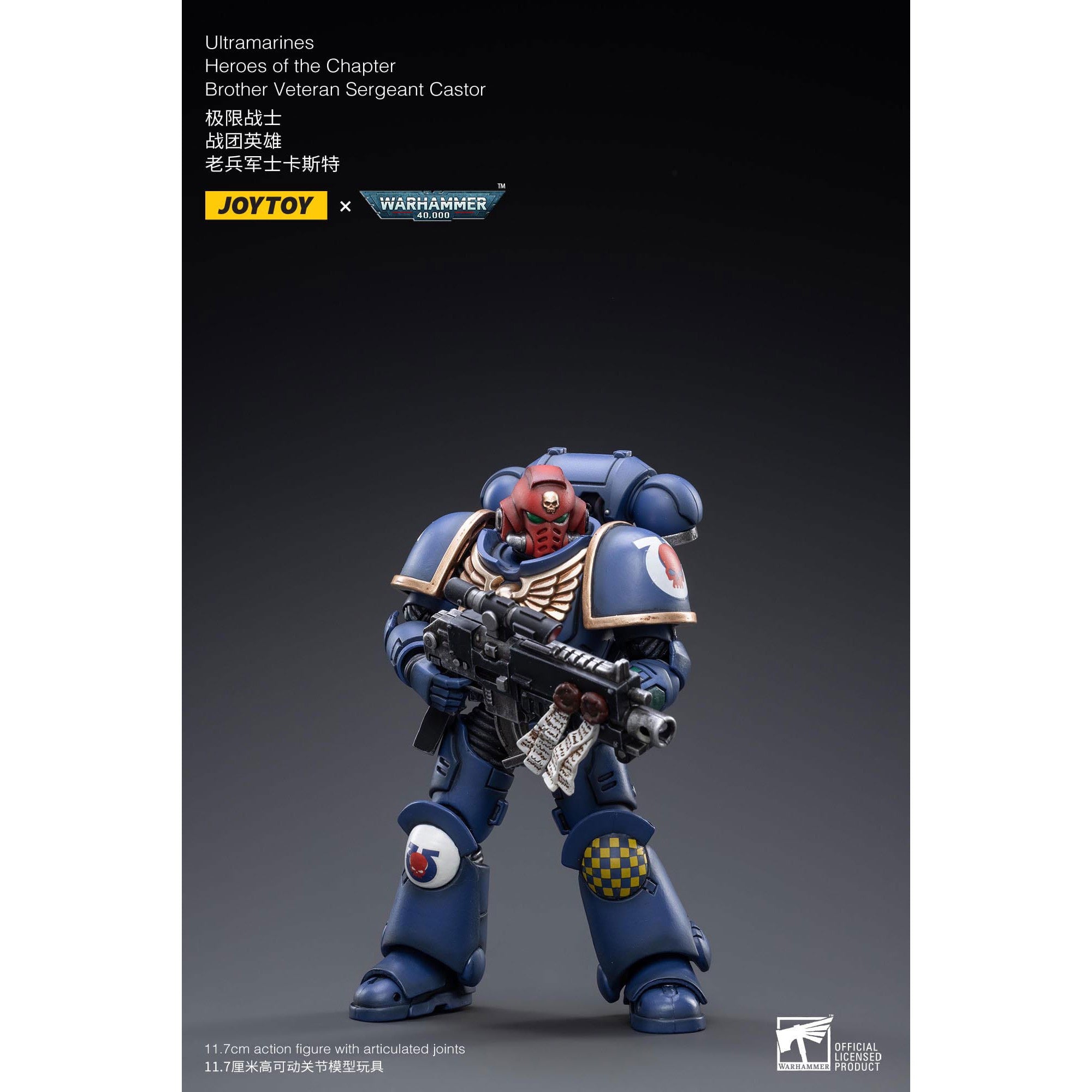 Warhammer 40k: Ultramarines Heroes of the Chapter Brother Veteran Sergeant Castor - 12 cm-Actionfiguren-JoyToy-Mighty Underground