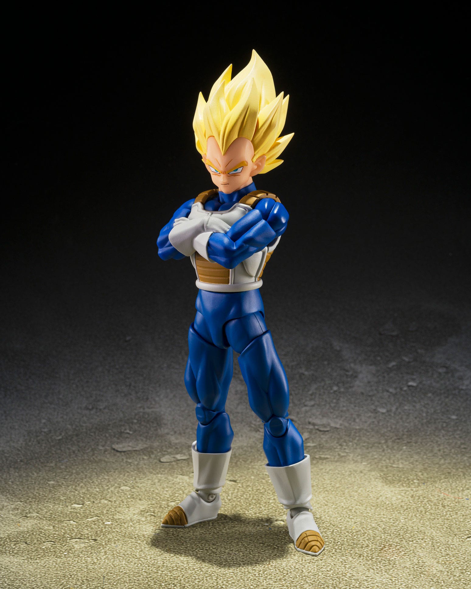 Dragon Ball Z: Super Saiyan Vegeta (Dangerous Pride)