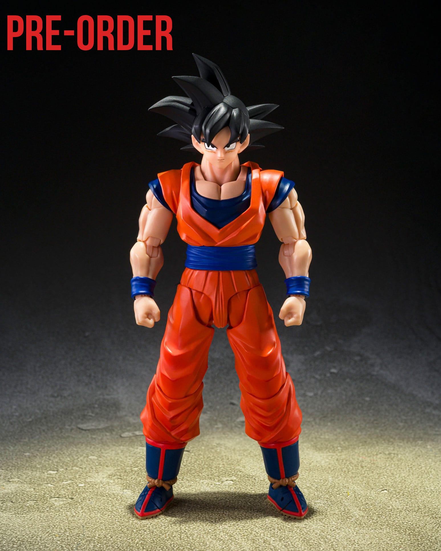 Dragon Ball Z: Son Goku (The Kind-Hearted Saiyan)