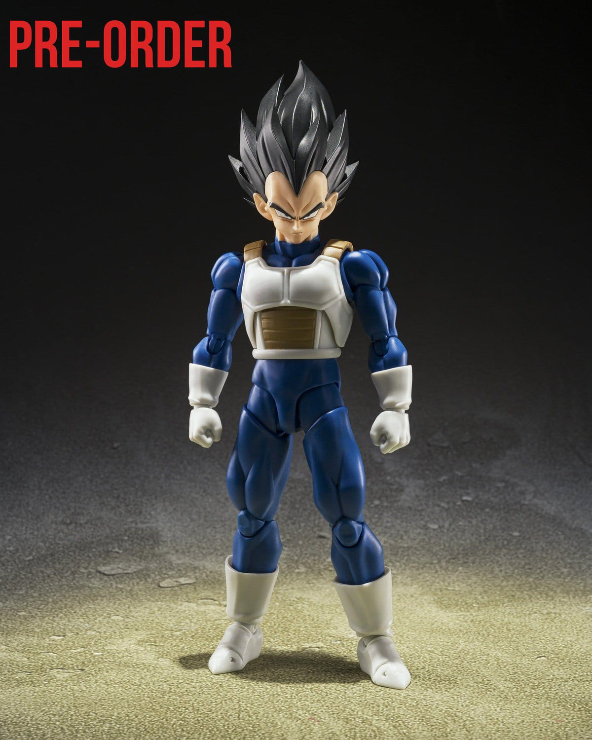 Dragon Ball Z: Vegeta (Z-Fighters)