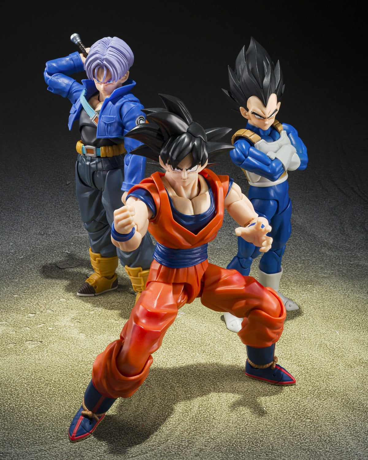 Dragon Ball Z: Vegeta (Z-Fighters)