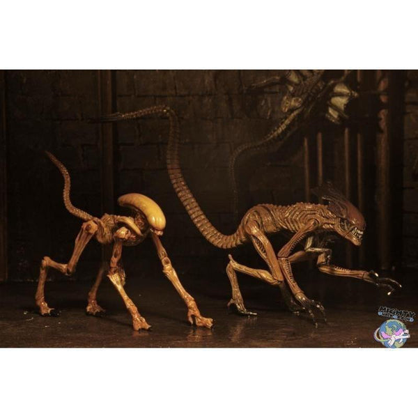 Alien 3: Creature Accessory Pack-Actionfiguren-NECA-mighty-underground