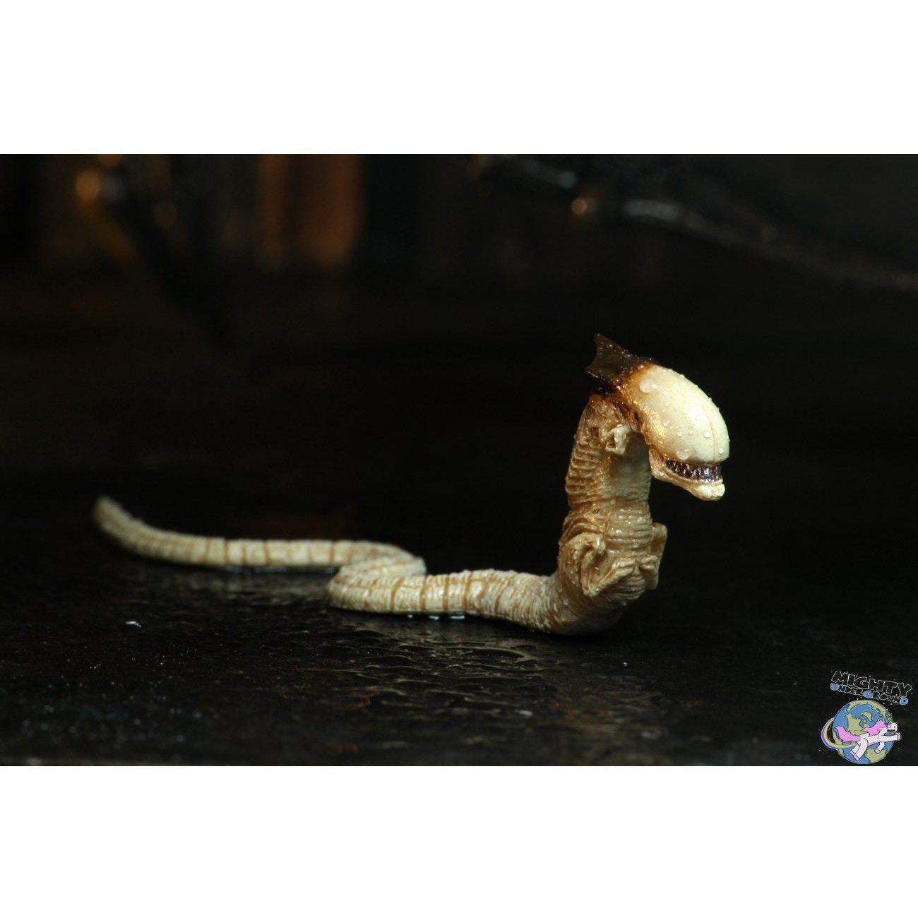 Alien 3: Ultimate Dog Alien-Actionfiguren-NECA-mighty-underground