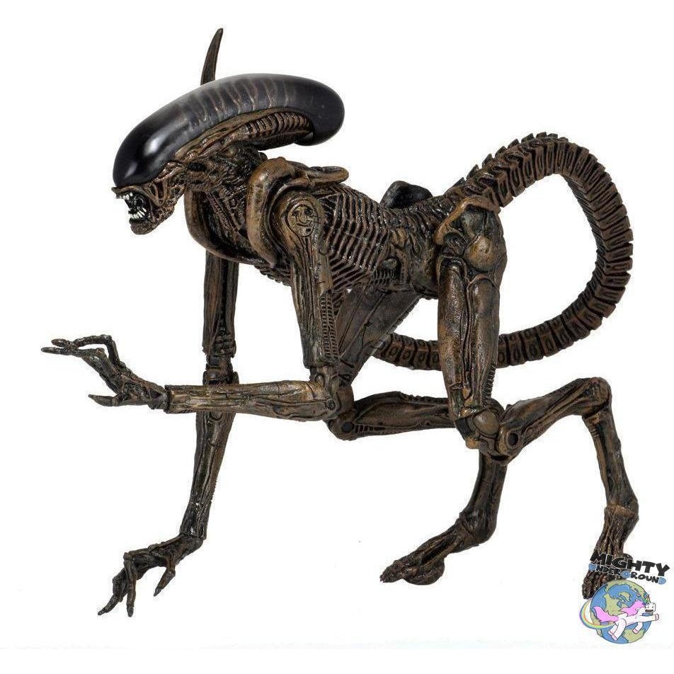 Alien 3: Ultimate Dog Alien-Actionfiguren-NECA-mighty-underground