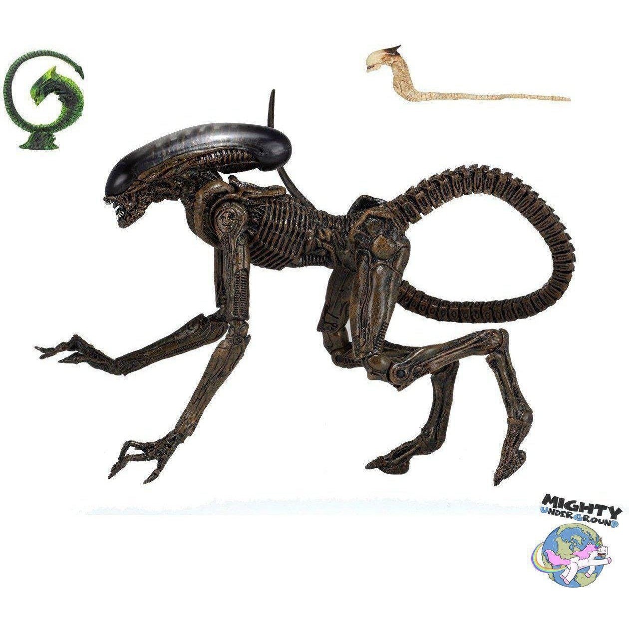 Alien 3: Ultimate Dog Alien-Actionfiguren-NECA-mighty-underground