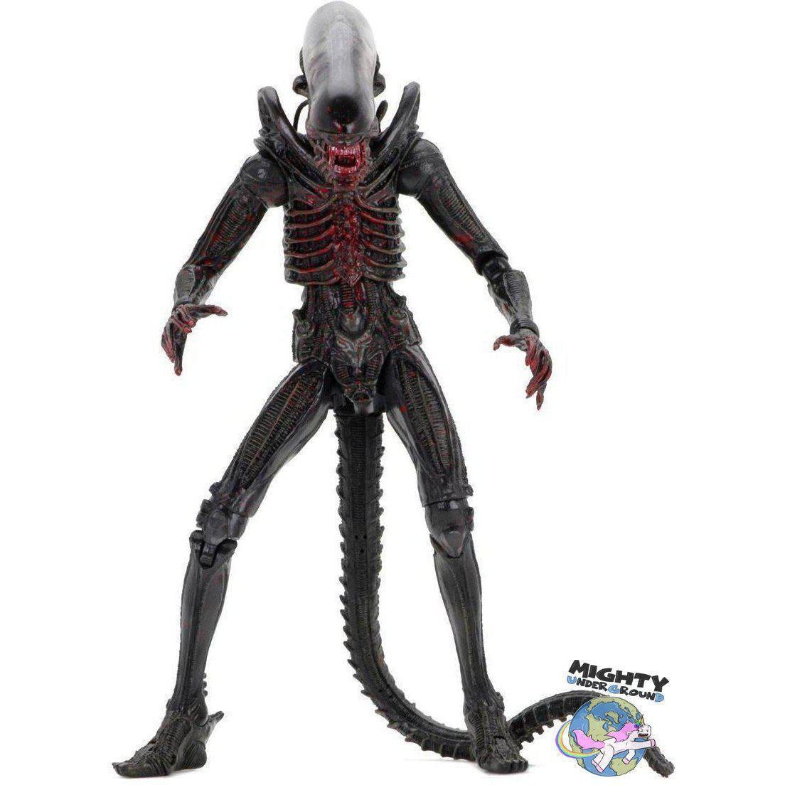 Alien: Bloody Xenomorph (40th Anniversary)-Actionfiguren-NECA-mighty-underground