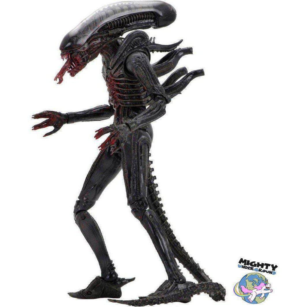 Alien: Bloody Xenomorph (40th Anniversary)-Actionfiguren-NECA-mighty-underground