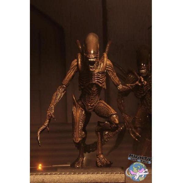 Alien Resurrection: Alien Warrior-Actionfiguren-NECA-mighty-underground