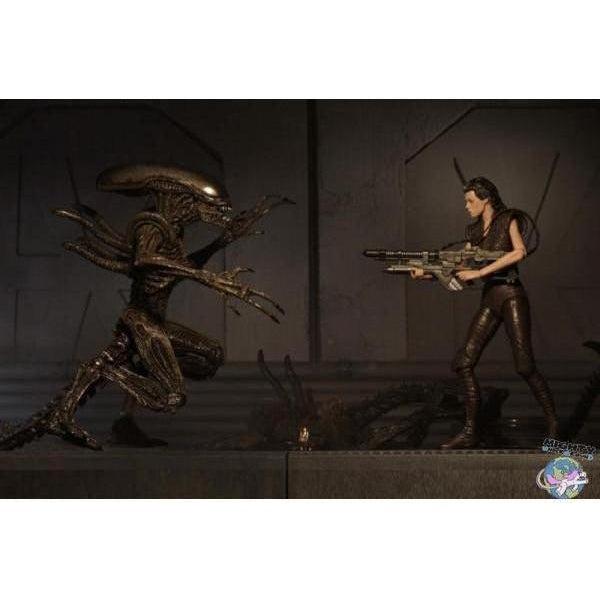 Alien Resurrection: Alien Warrior-Actionfiguren-NECA-mighty-underground