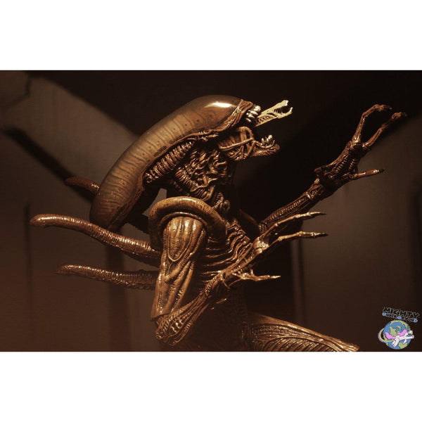 Alien Resurrection: Alien Warrior-Actionfiguren-NECA-mighty-underground