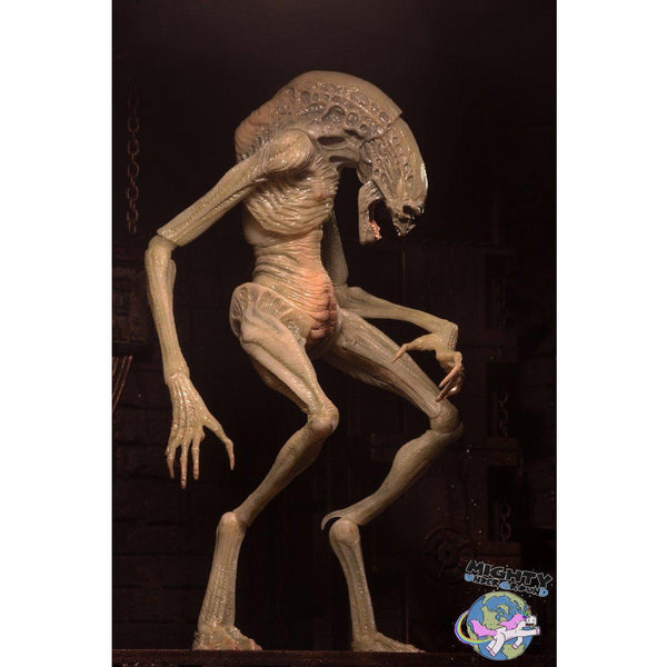 Alien Resurrection: Deluxe Newborn-Actionfiguren-NECA-mighty-underground