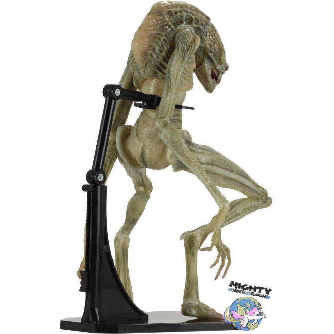 Alien Resurrection: Deluxe Newborn-Actionfiguren-NECA-mighty-underground