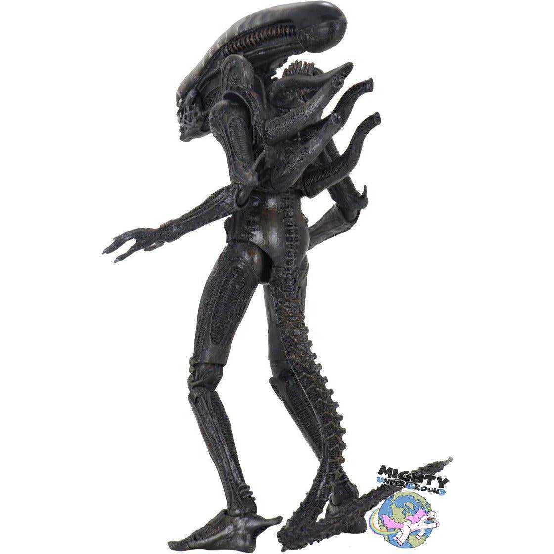 Alien: Ultimate Big Chap (40th Anniversary)-Actionfiguren-NECA-Mighty Underground