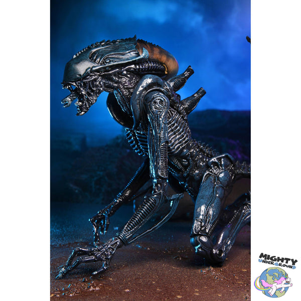 Alien VS Predator: Arachnoid Alien (Game, Movie Deco)-Actionfiguren-NECA-Mighty Underground