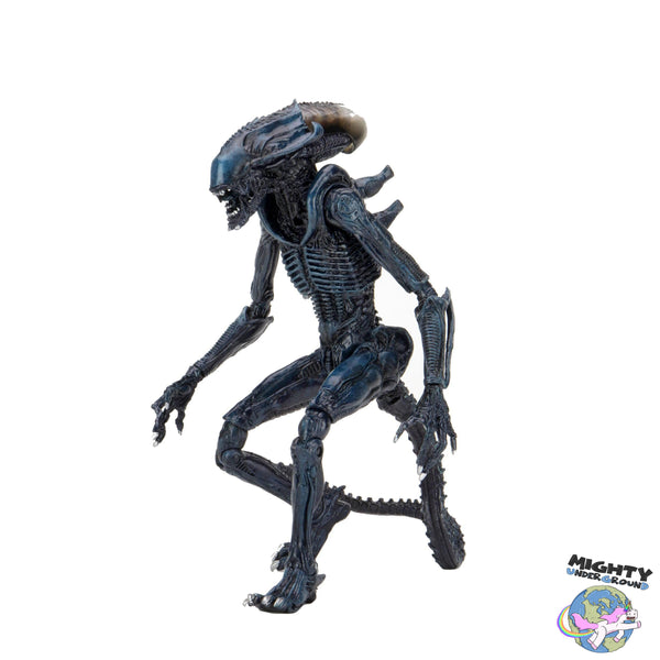 Alien VS Predator: Arachnoid Alien (Game, Movie Deco)-Actionfiguren-NECA-Mighty Underground