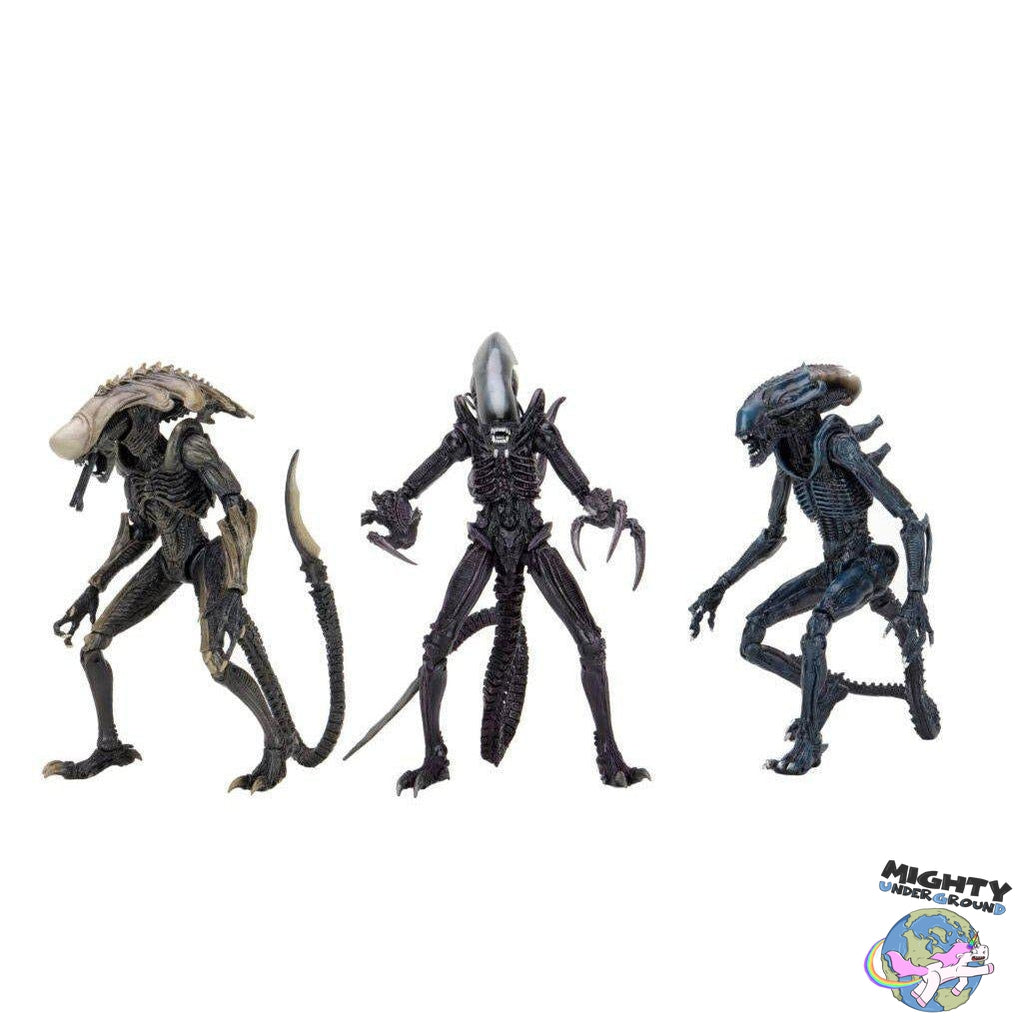 Alien VS Predator: Chrysalis Alien (Game, Movie Deco)-Actionfiguren-NECA-Mighty Underground