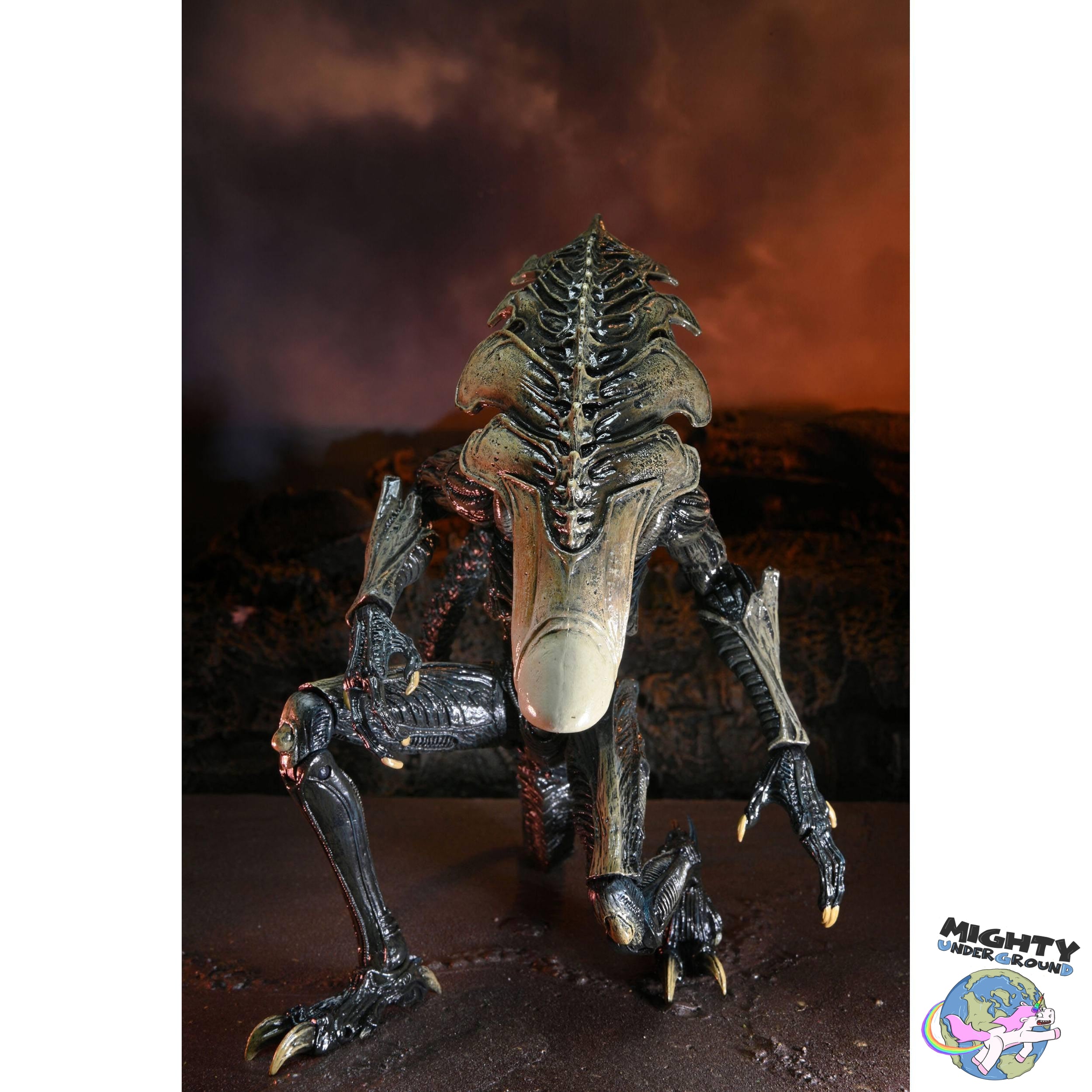 Alien VS Predator: Chrysalis Alien (Game, Movie Deco)-Actionfiguren-NECA-Mighty Underground