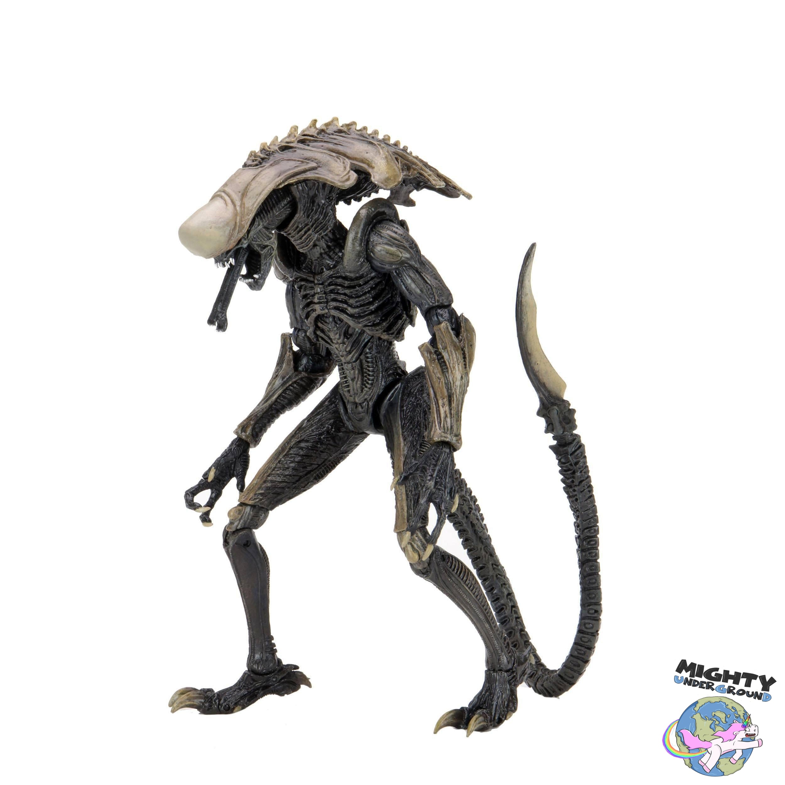 Alien VS Predator: Chrysalis Alien (Game, Movie Deco)-Actionfiguren-NECA-Mighty Underground