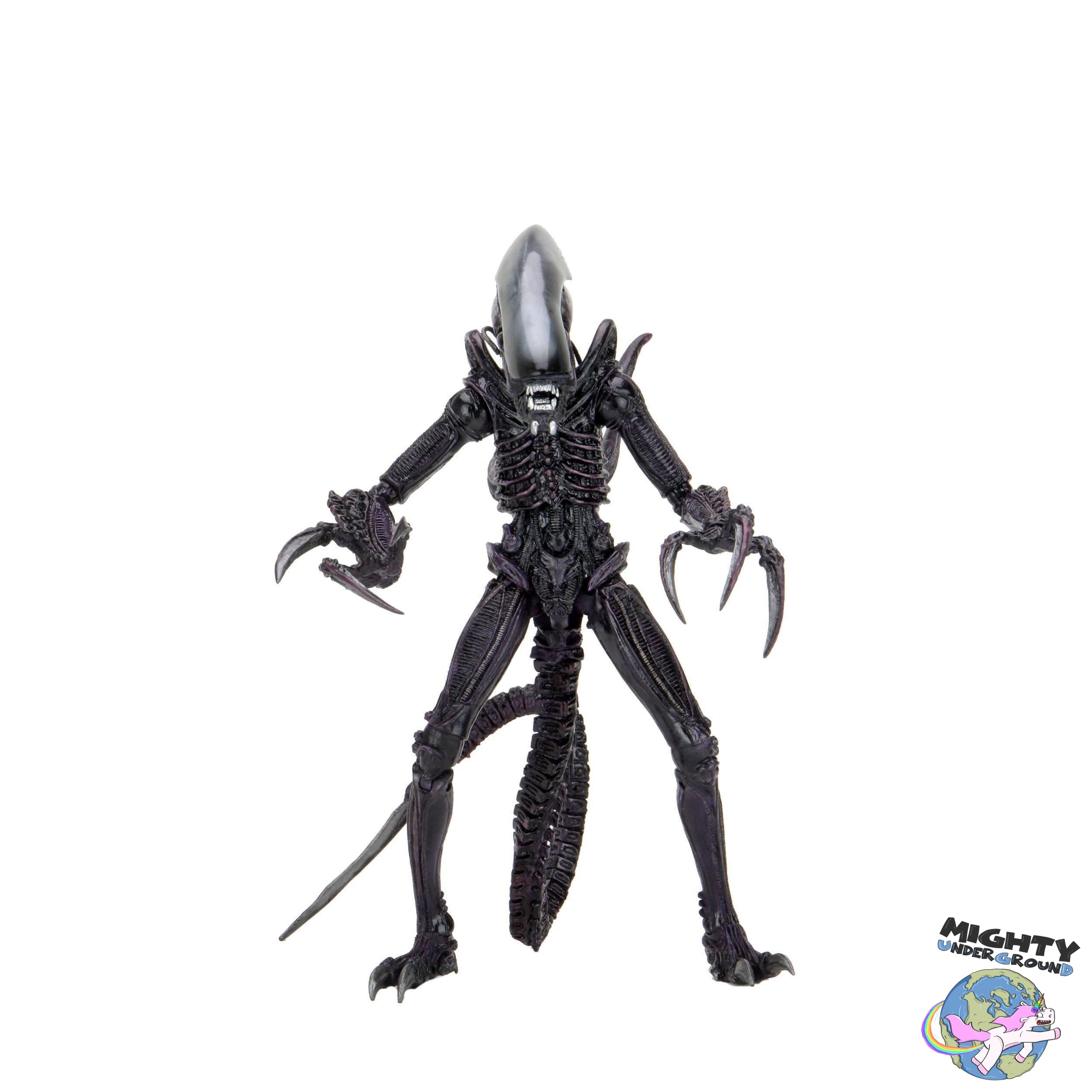 Alien VS Predator: Razor Claws Alien (Game, Movie Deco)-Actionfiguren-NECA-Mighty Underground