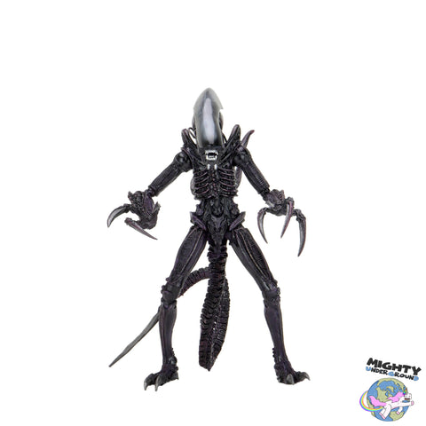 Alien VS Predator: Razor Claws Alien (Game, Movie Deco)-Actionfiguren-NECA-Mighty Underground