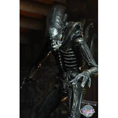 Alien: Xenomorph (40th Anniversary)-Actionfiguren-NECA-Mighty Underground