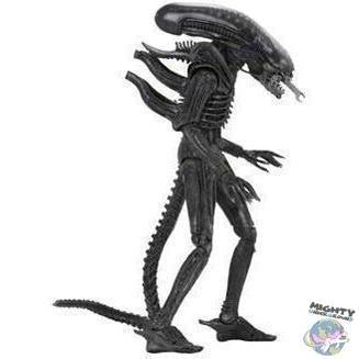 Alien: Xenomorph (40th Anniversary)-Actionfiguren-NECA-Mighty Underground