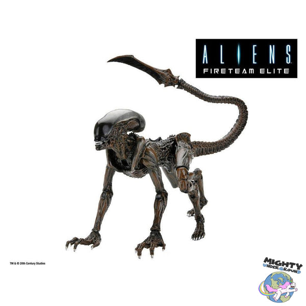 Aliens: Runner (Fireteam Elite)-Actionfiguren-NECA-Mighty Underground