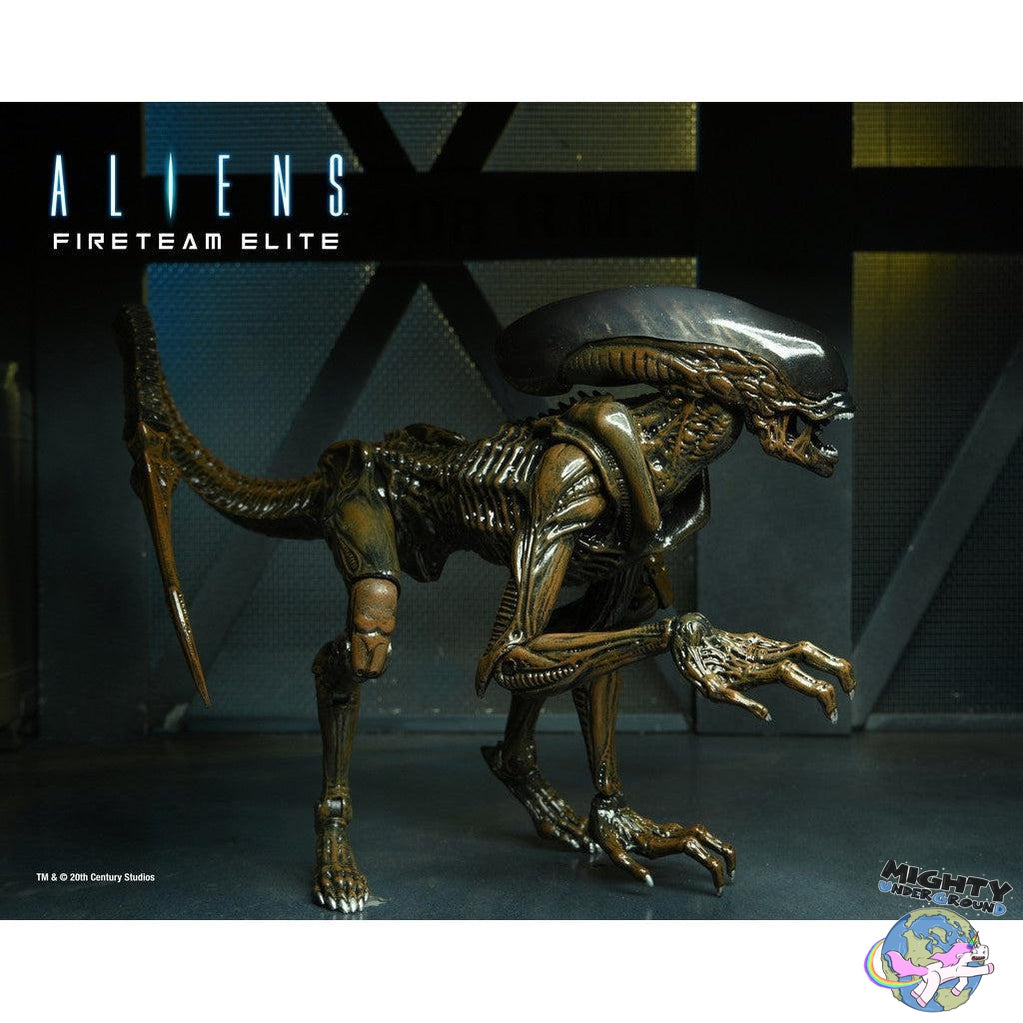 Aliens: Runner (Fireteam Elite)-Actionfiguren-NECA-Mighty Underground